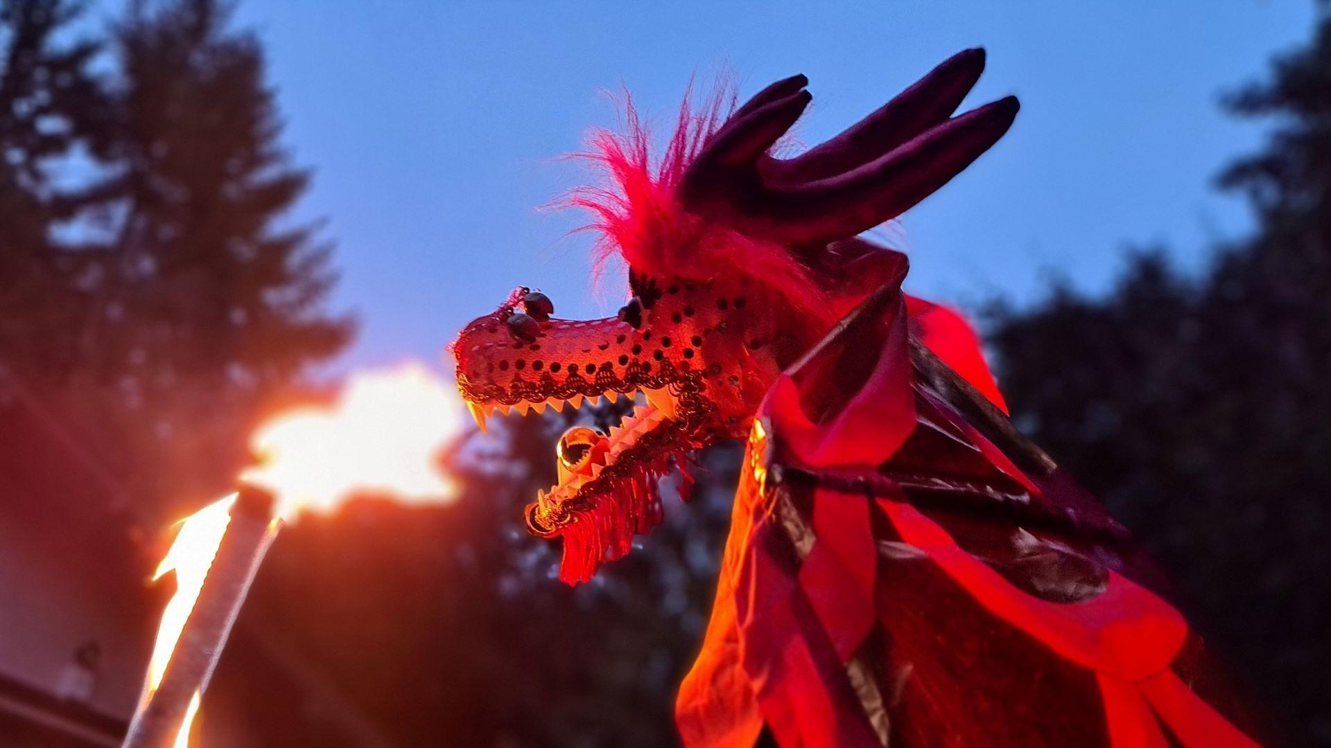 DRAGON FIRE SHOW - špeciálna show pre deti - Dragon show Inspinia je ohňová a svetelná šou s drakmi určená pre detské publikum. Draky rôznych farieb spolu s ohňom a svetelnými efektami vytvoria v tme magickú atmosféru. Pripravte sa na dračiu párty, na ktorej budú draky nielen bezhlavo lietať, ale aj dymiť a chrliť oheň. Medzi hosťami na našom večierku uvidíte aj obľúbené postavičky z rozprávok a počítačových hier.

Ohňová show s drakmi je určená najmä pre detské publikum, ale svojim originálnym spracovaním zaujme malých aj veľkých divákov. Je vhodná predovšetkým na akcie pre deti, rodinné dni, do škôl a rodinných centier a je to skvelý program na lampiónové sprievody, halloweenske párty, vianočné večierky a detské karnevaly. 

2 TANEČNÍCE / 20 MINÚT
2 TANEČNICE / 20 MINÚT