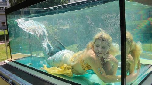 Obrázok umelca Perla Mareena