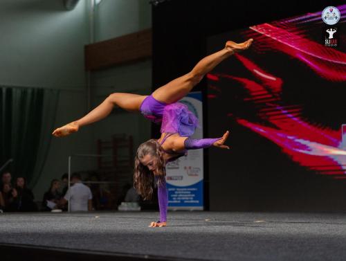 Obrázok umelca Nelli Novodomská